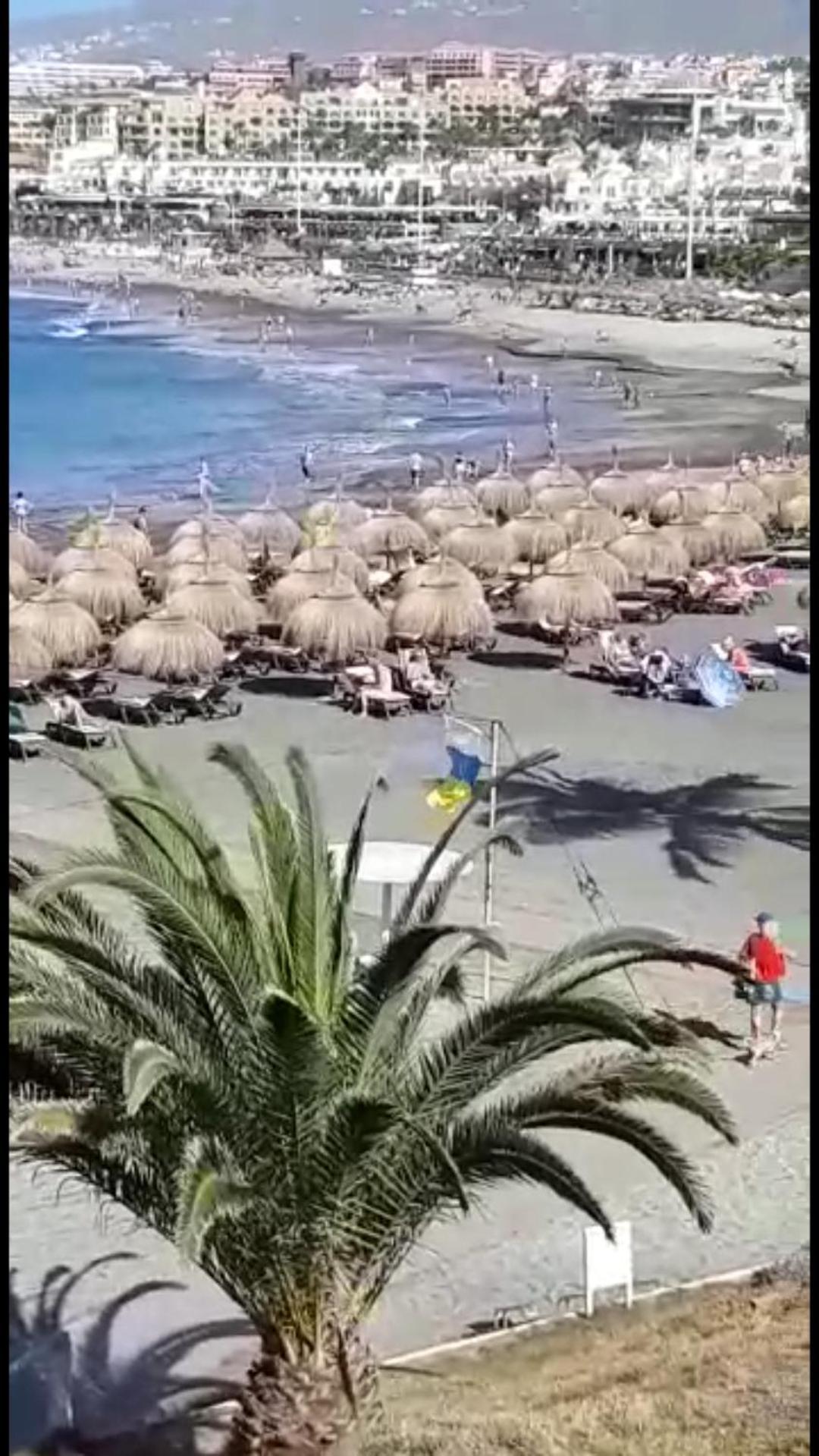 Apartment Chill Out Tenerife Sud - Monolocale Con Piscina Riscaldata Costa Del Silencio