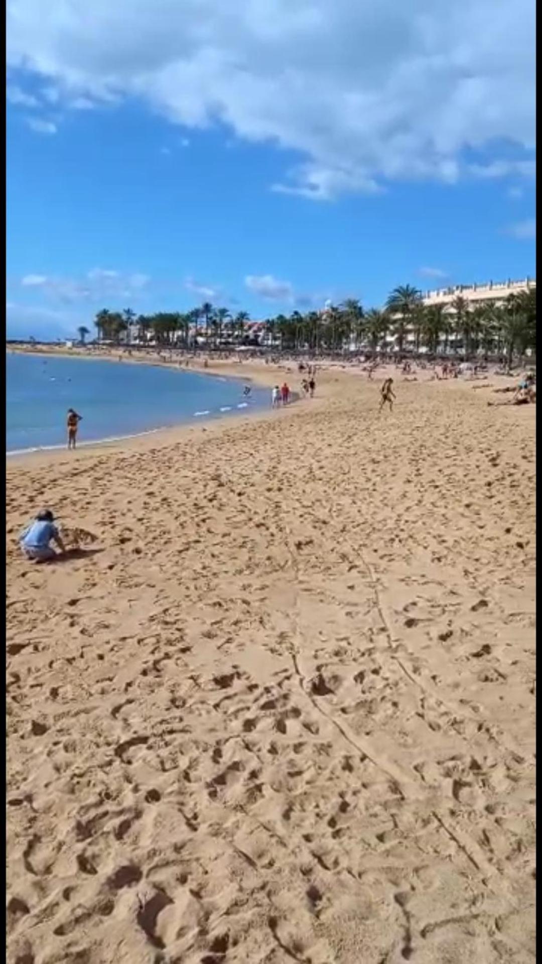 Chill Out Tenerife Sud - Monolocale Con Piscina Riscaldata *